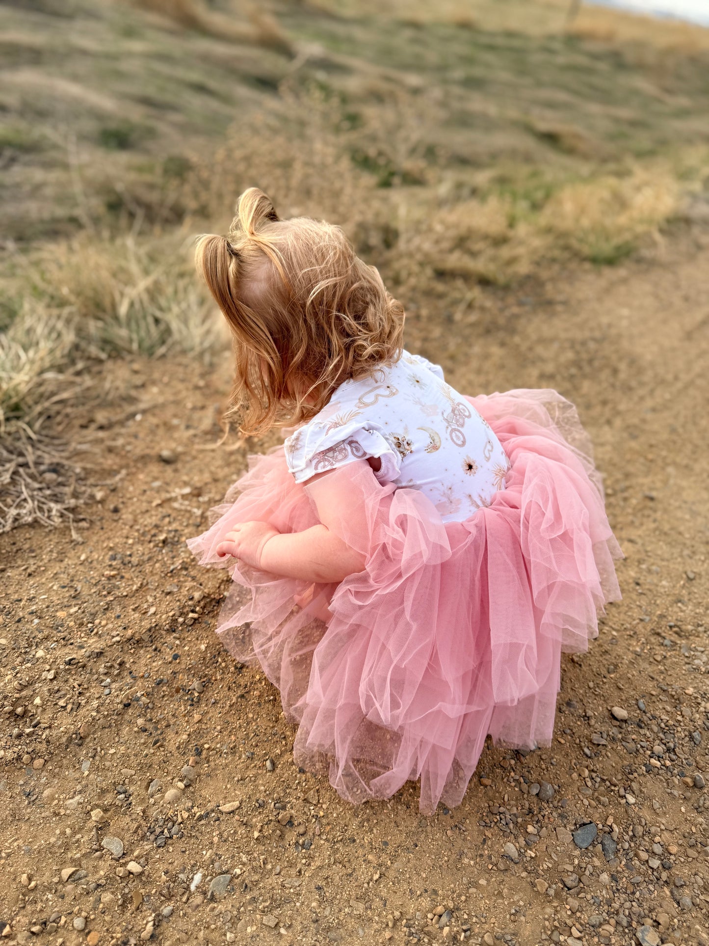 Whimsy Wheels - Tutu Dress + Shorts